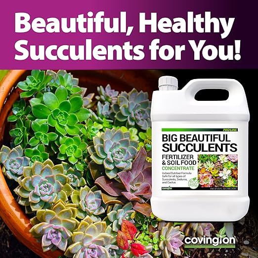Covington Succulent Fertilizer Liquid (32oz) – Cactus &amp Succulent Plant Food for Indoor and Outdoor Use – Slow Release Liquid Fertilizer for Houseplants – Made in USA