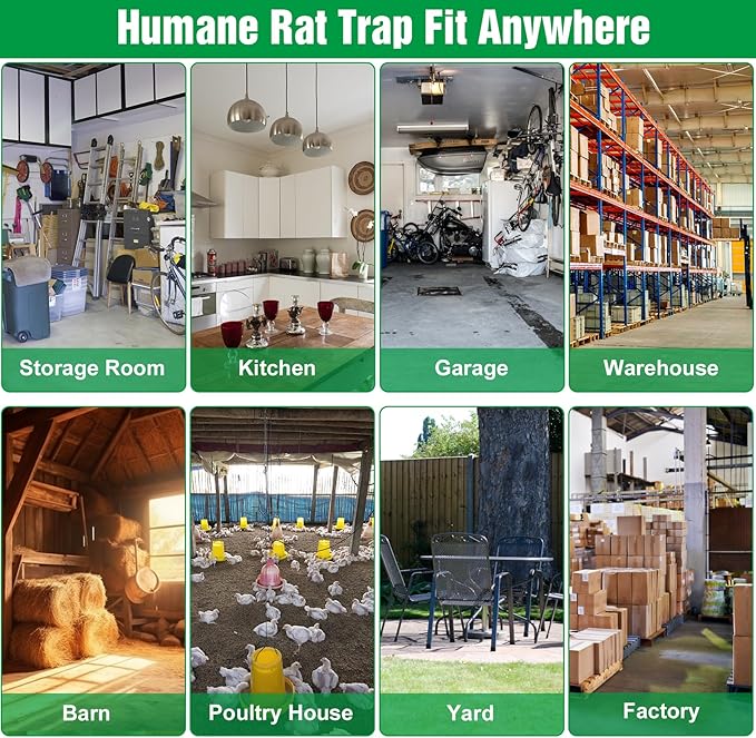 4 Packs Humane Rat Trap Outdoor Wanqueen Humane Mouse Traps Indoor for Home Small Rodent Chipmunk Squirrel Trap and Other Live Animal Cage Catch and Release