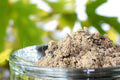 1 Pound Extreme Blend - Soluble Powder Mix of Kelp Fulvic Humic Amino Acid