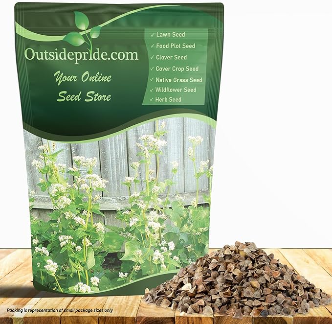 Outsidepride Buckwheat Seeds - 5lbs Annual Fast-Growing Easy to Grow Buckwheat Cover Crop Seeds for Green Manure Bee Pasture &amp Pollinators Wildlife Habitat Soil Improvement and Erosion Contr