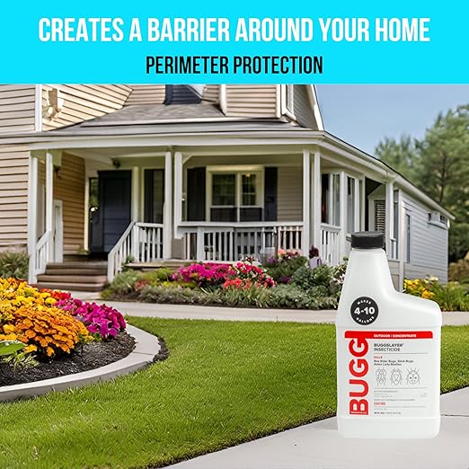 BUGGSLAYER Insecticide - Concentrate - Outdoor Box Elder Bugs Stink Bugs Asian Lady Beetles - 16 oz Bottle