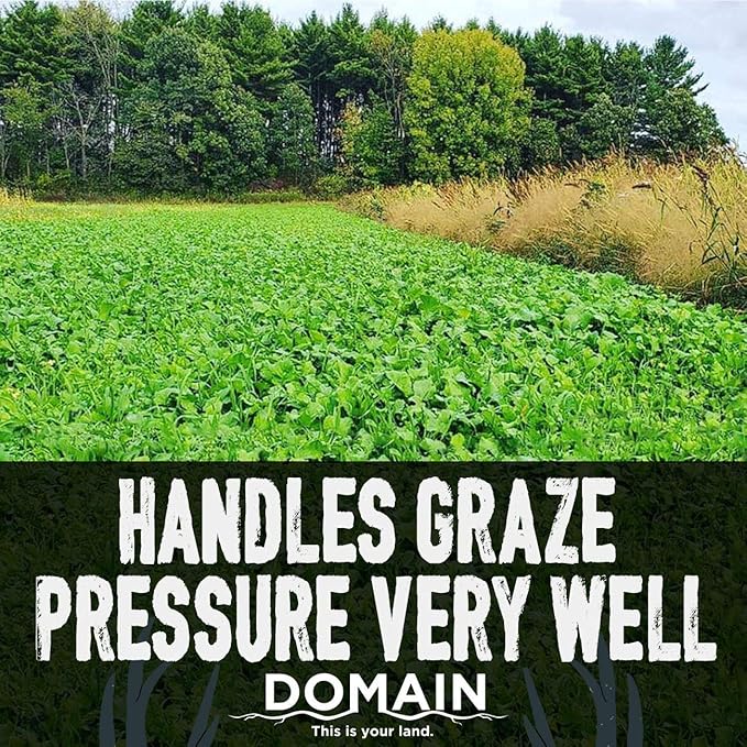 Domain Outdoor Green Machine Food Plot Seed for Deer 1/4 Acre Winter Peas Forage Oats Winter Rye Forage Rape Radish Highly Attractive Food Source Will Stay Green