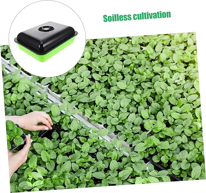 Sprout Trays Seedling Tray Sprouting Kit Plant Growth Plate Use Soilless Method for Small Spaces
