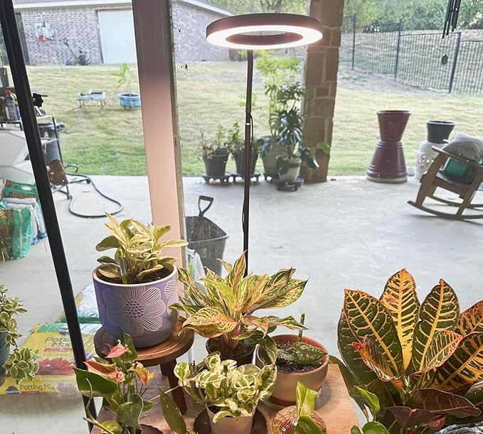 Grow Lights for Indoor Plants Full Spectrum LED Plant Light with Stand 67 Adjustable Height 3/9/12H Timer 10 Dimmable Levels &amp 3 Lighting Modes