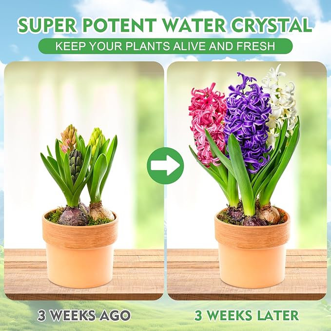 XSEINO 5LB Water Storing Crystals for Plants Water Gel Solves Plant Over-Watering and Drought Problems Keeps The Soil Moist Small Water Storing Polymer Crystals for Plants