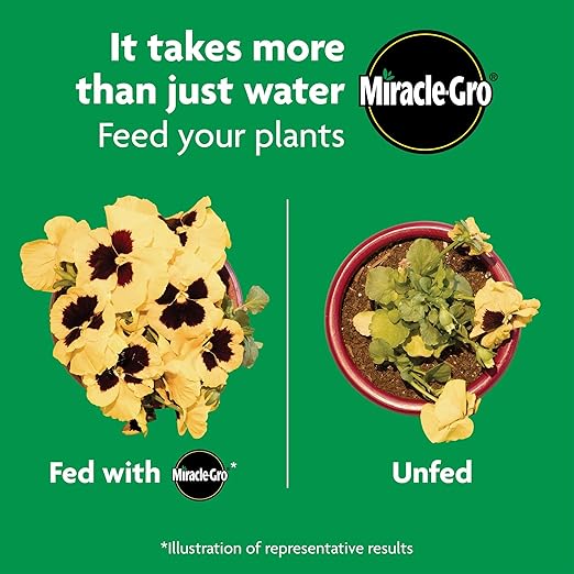 Miracle-Gro Shake 'N Feed All Purpose Plant Food - Outdoor and Indoor Plant Food for In-Ground and Containers Feeds for up to 3 Months 4.5 lbs. (6-Pack)