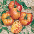 Big Rainbow Tomato Seeds - 1 Oz ~6800 Seeds - Non-GMO Heirloom - Vegetable Garden - Solanum lycopersicum