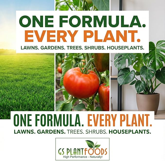 GS Plant Foods Liquid Kelp Fertilizer – Suitable for Organic Growing OMRI Listed Seaweed Concentrate for Lawns Gardens &amp Soil - 55 Gallons