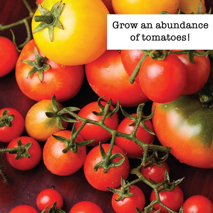 Ferry-Morse Organic Tomato Lover Seed Variety Pack - High Germination Rate GMO Free - 7 Pack