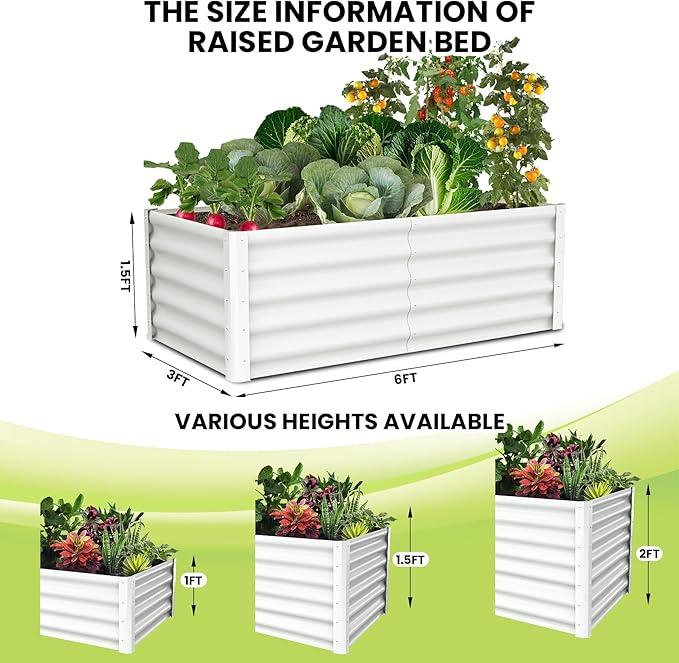 GarveeLife Raised Garden Bed Set of 2 6x3x1.5 ft Galvanized Raised Garden Bed Outdoor Large Planter Raised Beds Open Base with Safety Edge and Glove for Vegetables Flowers Ground Planter Beige