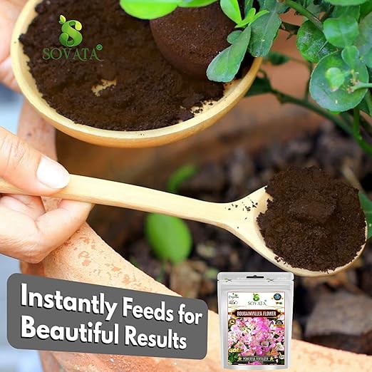 Sovata® Bougainvillea Flower Food Powerful Organic Fertilizer for Heavy Flowering and Fast Growth of Bougainvillea Plants. (900 gm)