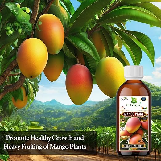 Sovata® Mango Tonic Fertilizer Essential Organic Powerful Liquid Tonic for Fast Growth and Heavy Fruiting of Mango Plants. (200 ml)