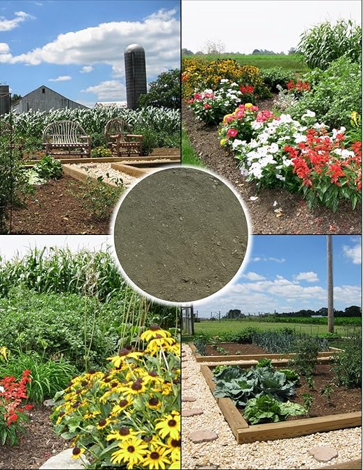Greensand 20 Pounds – Natural Fertilizer for Healthy Soil Rich in Potassium &amp Iron Great for Gardens Lawns &amp Growing - Lancaster Agriculture Products