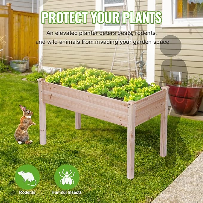 Backyard Expressions Wooden Raised Garden Bed | 48 x 24 x 30 Elevated Planter Box with Included Bed Liner | Outdoor Vegetable Flower and Herb Gardening