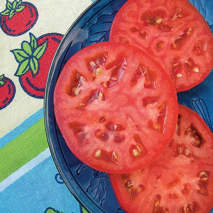 Bonnie Plants Red Beefsteak Tomato 19.3 oz. 4-pack