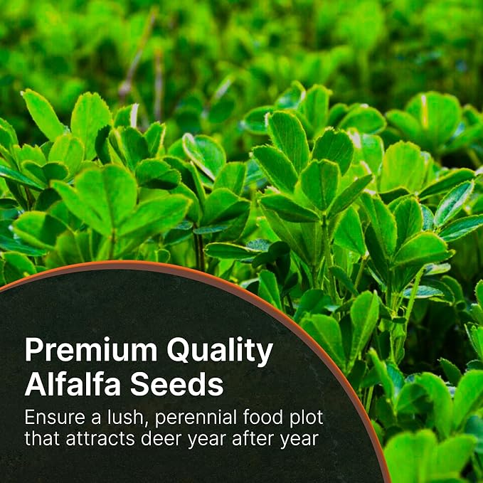 HIT LIST SEED®No Till Alfalfa Food Plot Seeds for Deer [Perennial] - Deer Food Plot Seed Throw and Grow - Deer Plot Seed Mix Perennial No Plow - 100% Alfalfa - Spring Summer &amp Fall Planting - 10