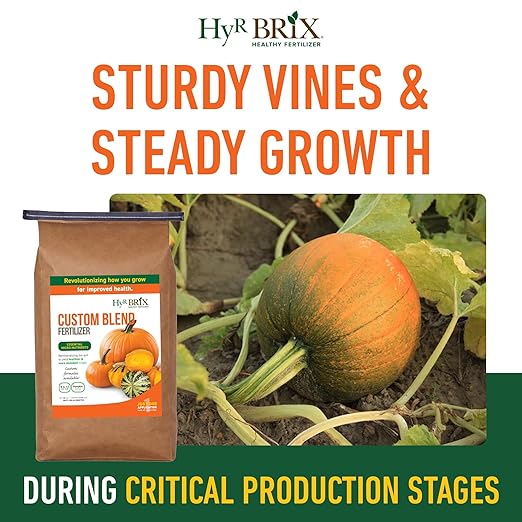 HyR BRIX Custom Blend 8-6-12 Pumpkin Fertilizer 45lb Bag - Balanced Nutrient Formula with Calcium &amp Sulfur Slow-Release Granular - One Application Covers 2142 Square Feet