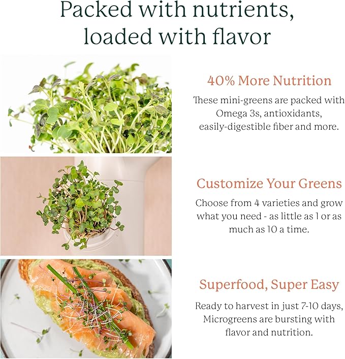 GARDYN Complete Microgreens Growing Kit - Indoor Herb Garden - Indoor Hydroponics Growing System Kit Nursery Seed Starter Tray 20 Seed Pads Bamboo Wicks10 Grow Plates