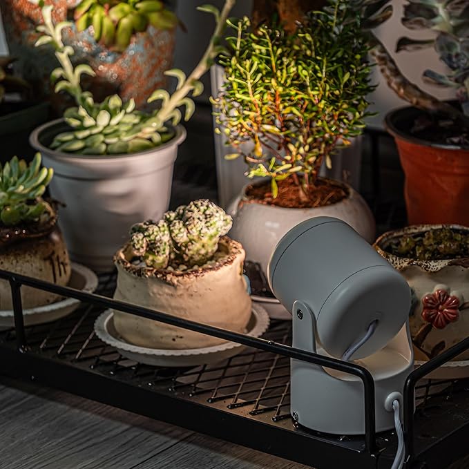 5W Full Spectrum Spot Light Plant Growing Light 5.9 Feet Timing Switch Cord Indoor Wall Mounted Adjusted Angle Floor Stand Lighting Modern Style for Indoor Plants