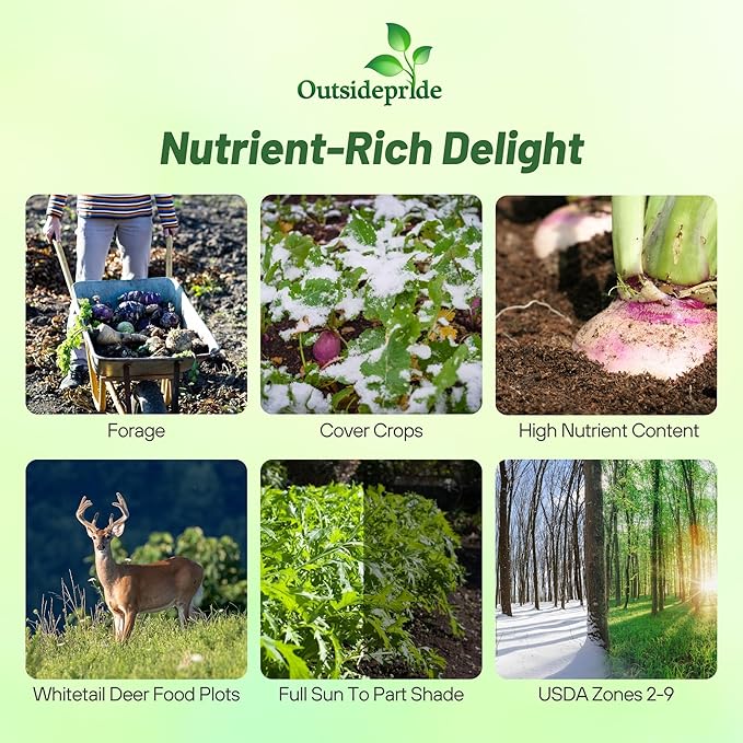 Outsidepride Purple Top Turnip Seeds - 5 Lbs High-Yield High Protein Turnip Seed Ideal Cover Crop for Forage Grazing Livestock High Energy Deer Food Plot &amp Soil Improvement