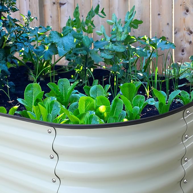 MUPATER 8ftx2ftx1.4ft Raised Garden Bed Outdoor for Vegetables 9-in-1 Galvanized Metal Planter Box 17''H Modular Garden Bed Kit Oval for Herbs and Flowers Pearl White