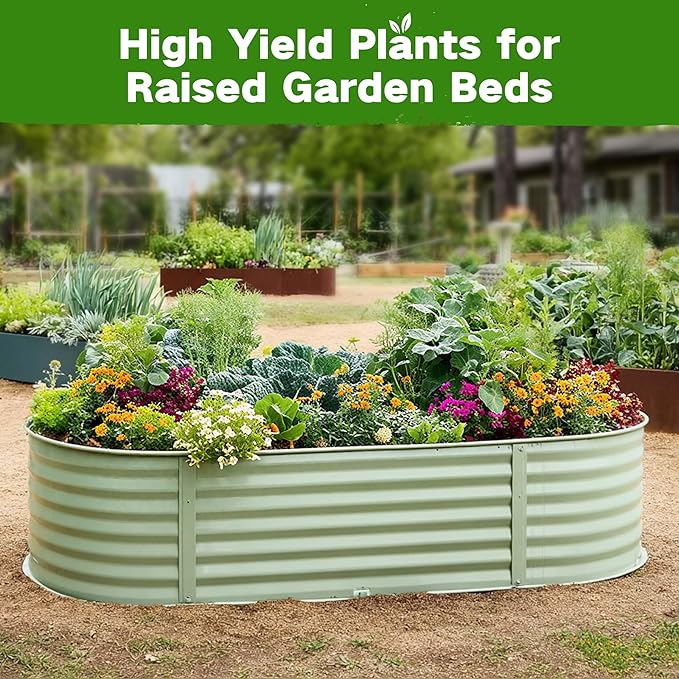 Lush&ampDew Raised Garden Bed Heirloom Seed Bank 32 Varieties 30000+ Non-GMO Seeds for Planting Vegetables Herbs Fruits Year-Round Gardening Gifts for Women Men Survival Seed Kit for Food Supplie