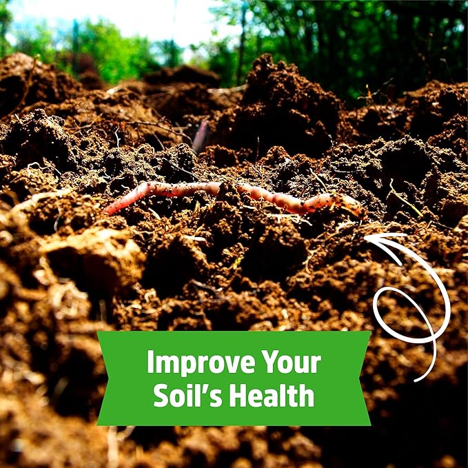Back to The Roots 100% Organic Soybean Cover Crop Seeds Covers ~1000 sq. ft.