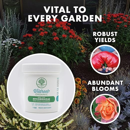 Organic 5 oz Mycorrhizae 16 Species Inoculant Treats 6000 4-Inch Plants. Explodes Root Growth Saves Water. Allow Your Plants Garden and Trees to Thrive!