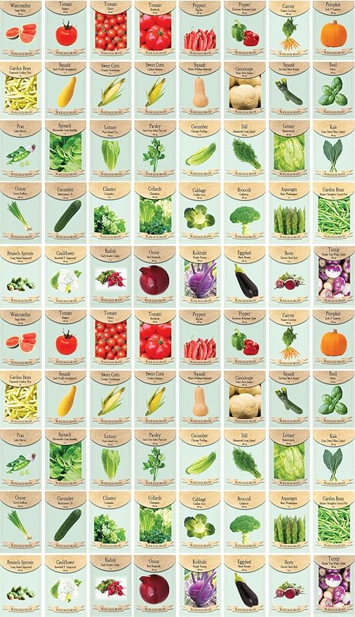 Black Duck Brand Set of 80 Vegetable and Herb Seeds - Semi Assorted - 100 Percent Non-GMO &amp Heirloom - Great for Starting a Garden! High Germination Rate! (80)