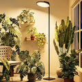 Bamworld Hanging Grow Light for Indoor Plants Full Spectrum 10 Dimmable Levels LED Grow Light Long Cord Timer Garden Greenhouse Flowers Large Tall Plant Black with Upright Stand