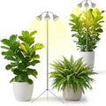 Full Spectrum Grow Light for Indoor Plants with Adjustable Tripod Stand 11''- 60'' Height Plant Grow Lamp with Auto Timer 3/9/12H LED Plant Light for Houseplants Seedlings Flowers &amp Indoor Gar