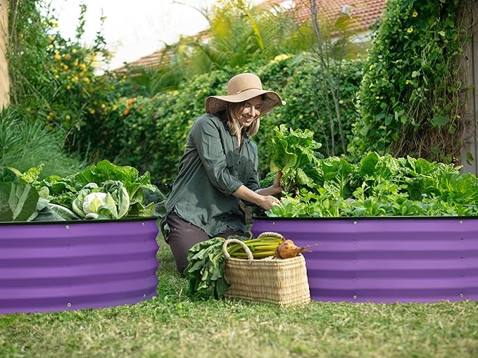 Plant &amp Plot Galvanized Raised Garden Beds Outdoor // Planter Raised Beds for Gardening Vegetables Flowers // Large Metal Garden Box (Purple) // Patent Pending Tool-Free Assembly