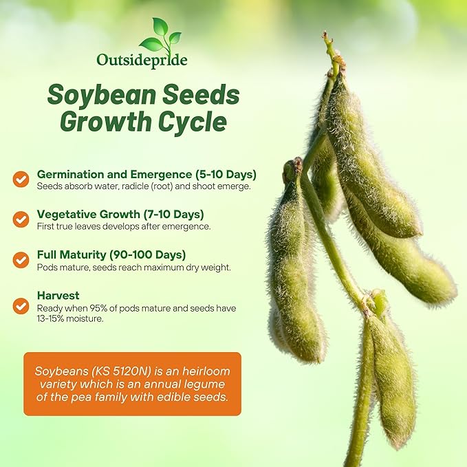 Outsidepride Soybean Seeds - 25 lbs High-Protein &amp High Yield Heirloom Variety Soy Beans Ideal for Oil Processing Forage Animal Food Plots &amp Wildlife Feed for Poultry &amp Other Farm Anim