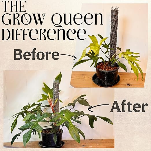 The All-in-One Complete Organic Plant Food Indoor Plant Food for Houseplants Organic Fertilizer for Vegetable Gardens 3lb =75 Formulated Servings Feeds 150 gal Instantly and Slow Release