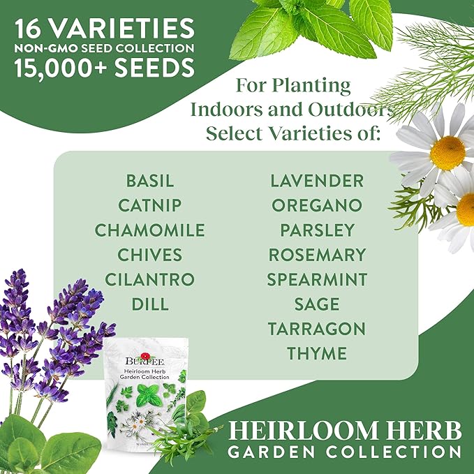 Burpee Heirloom Herb Seeds Variety Pack Non-GMO 16 Herbs - 15000+ Seeds with Basil Chives Catnip Chamomile Cilantro Dill Lavender Oregano Parsley Rosemary Spearmint Sage Tarragon Thyme