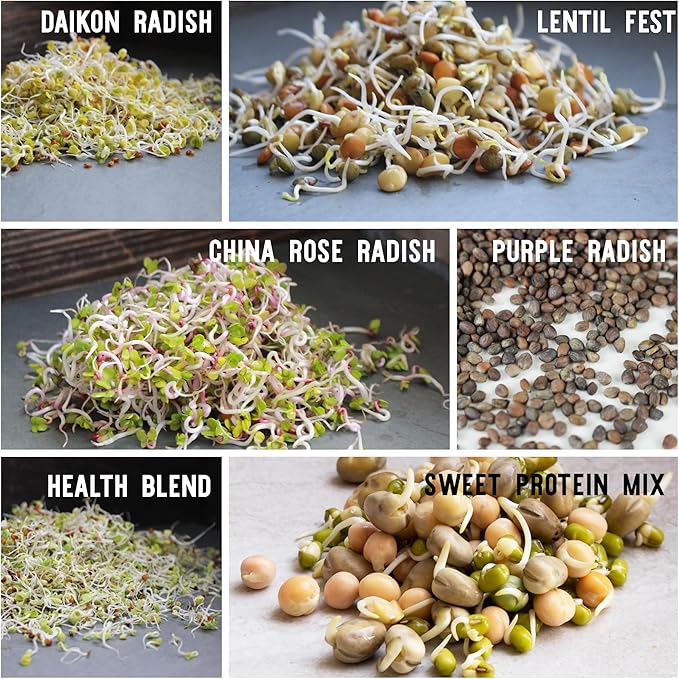 12 Variety Pack Organic Sprouting Seeds - Fully Raw Kristina's Sprouts Growing Kit with Sprouting Lid &amp Book - Alfalfa Seeds Mung Bean Radish Clover Seed Salad Mix Pea Health Blend &amp Mo