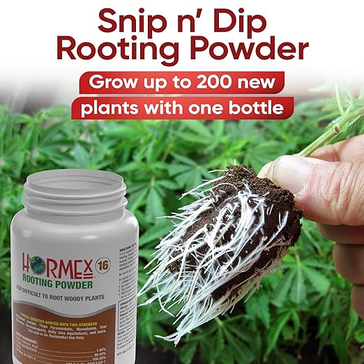 Hormex Rooting Powder #16 Grow Cubes &amp Shears Combo - Rooting Hormone for Difficult Hardwood Plants Tree Cuttings | Root Starter Cubes for Cloning Plants | Precision Straight-Blade Shears (50 Pl