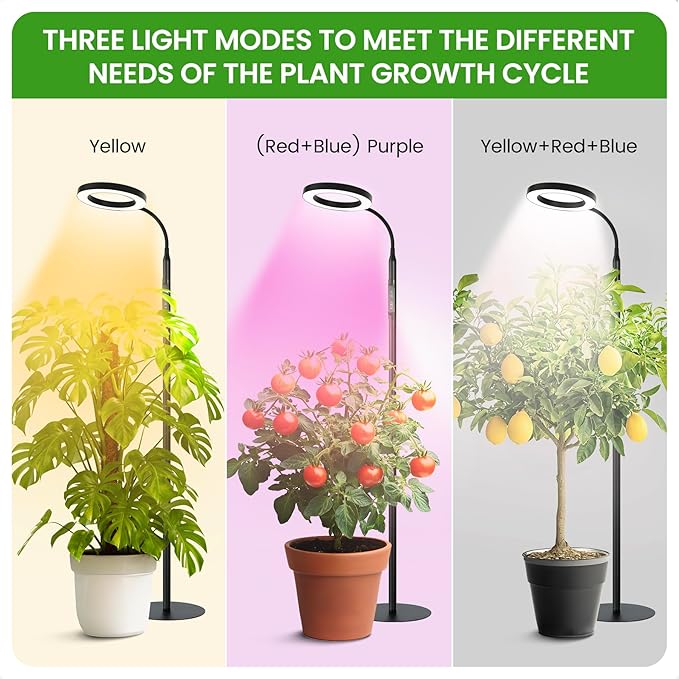 Grow Lights for Indoor PlantsFloor Lamp with 63IN StandFull Spectrum10 DimmingHalo Ring Warm Light 3/9/12H TimerHeight AdjustableMetal Stable Base Growing Light for Tall Small Plant