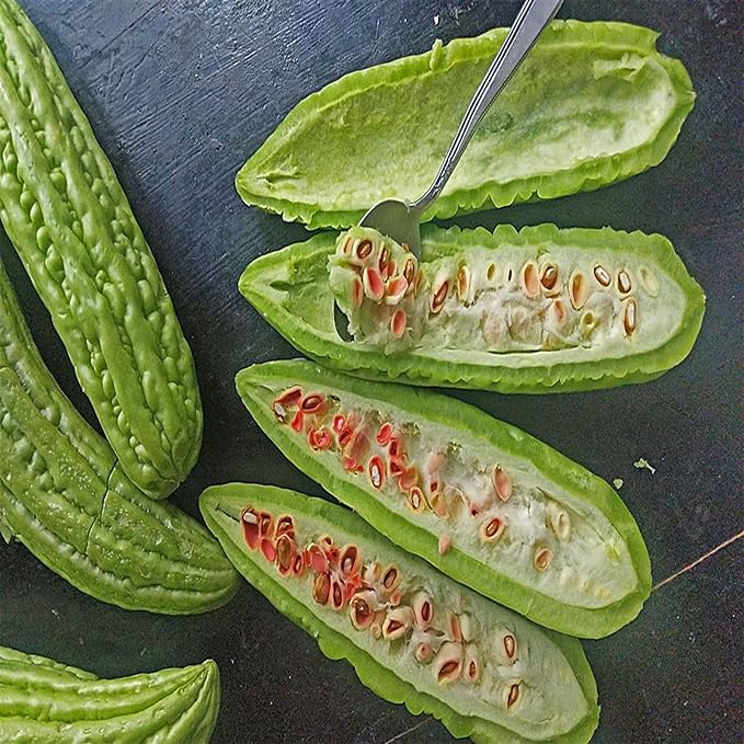 30 Bitter Gourd Bitter Gourd Calabaza Amarga Bitter Cucumber karela Nigauri Goya Ku-Gua Non-GMO Heirloom Seeds Nutritious Vegetables-QAUZUY GARDEN