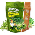 Todd’s Seeds - Calabrese Broccoli Sprouting Seeds 1 lb - High in Sulforaphane Non-GMO Heirloom Variety - Bulk Seeds for Nutrient-Rich Sprouts &amp Home Gardening (Chemical Free - Better than Organ