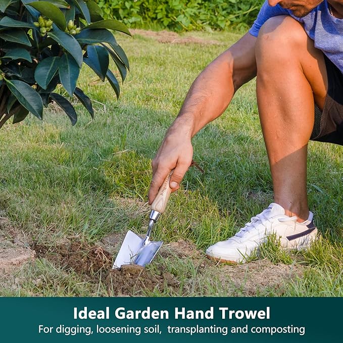 Berry&ampBird Garden Tool Set- 3PCS Stainless Steel Gardening Tool Sets with Wooden Handle Trowel Weeding Fork &amp Digging Shovel Hand Tool Kit for Planting Ideal Gardening Gift for Women &amp Me