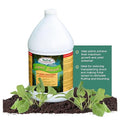 Medina Liquid Seaweed Fertilizer for Plants - Concentrated Seaweed Fertilizer for Lawn and Garden - Enhances Plant Growth and Soil Health - Ready to Spray - 1 Gallon Covers 64000 Sq. Ft.