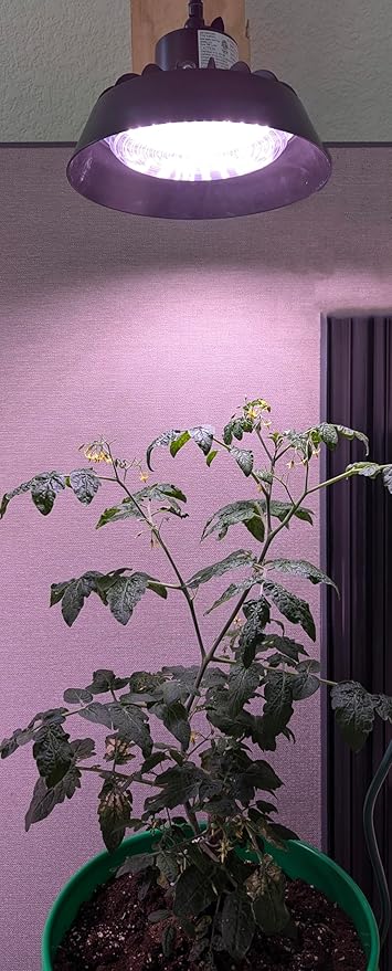 Miracle LED 70W Elegant Barn Vibe Indoor/Porch LED Grow Light with Pink Spectrum Daylight for Herbs and Vegetables and at Home Produce Growing.