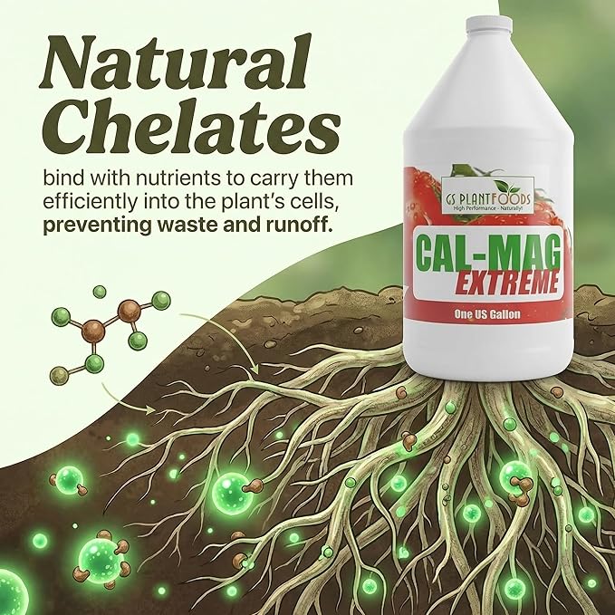 GS Plant Foods Cal-Mag Extreme Liquid 1 Gallon Fertilizer with Calcium Magnesium Iron and Sulfur Supplement Corrects Secondary Nutrient &amp Trace Element Deficiencies N-P-K of 2-0-0