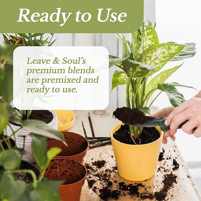 Extra Large 8.2 QT Bag Succulent Soil Premium All Purpose Blend | Pre-Mixed Ready to Use for Cactus and Succulents | Canadian Peat Course Sand Pinebark | Made in USA