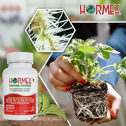 Hormex Rooting Powder #8 &amp Vitamin B1 Hormone Concentrate Combo - Root Stimulator for Semi-Hardwood Cuttings &amp Liquid - Perfect for Hydroponics House Plants Gardens Fruits &amp Vegetables