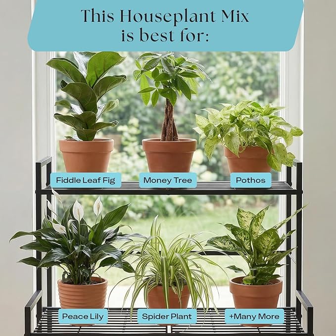 Rosy Soil Indoor Potting Soil for House Plants 2 x 8 qrt - Organic Potting Soil Mix for Indoor Plants -Enriched w/Root-Boosting Biochar for Foliage Plants Flowers Herbs - Pack of 2