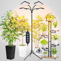2026 4Head Full Spectrum Grow Light with Stand 100 Watt Bright Grow Lights for Indoor Large Plants Tall Bonsai Tree Auto On/Off Daily Timer(4/8/12/16/20H) Adjustable Stand 24-78