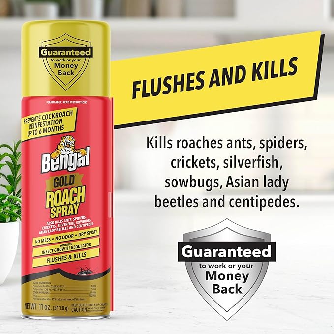 Bengal Gold Roach Spray - Odorless Stain-Free Bug Spray for Home - Prevents Reinfestation for Up to 6 Months - 11 oz 3 Pack