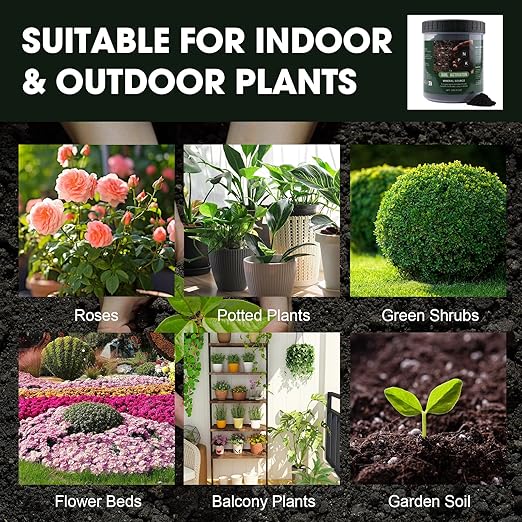 Soil Activator for Plants(32.4 oz / 920g) Organic Soil Activators and Plant Fertilizers for Garden Beds Potting Mix Seedling Compost Root Growth Booster